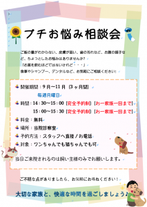 f:id:katsuma-pc:20191210185153p:plain f:id:katsuma-pc:20191210185153p:plain