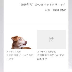 f:id:katsuma-pc:20191210185229j:plain f:id:katsuma-pc:20191210185229j:plain