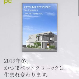 f:id:katsuma-pc:20191210185236j:plain