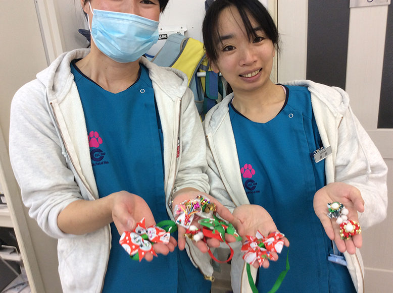 f:id:katsuma-pc:20191212172128j:plain f:id:katsuma-pc:20191212172128j:plain