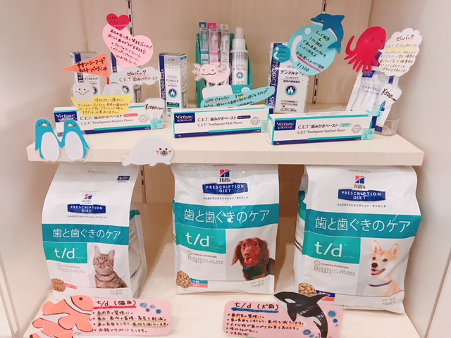 f:id:katsuma-pc:20191213184350j:plain f:id:katsuma-pc:20191213184350j:plain