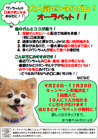 f:id:katsuma-pc:20191213184850p:plain f:id:katsuma-pc:20191213184850p:plain