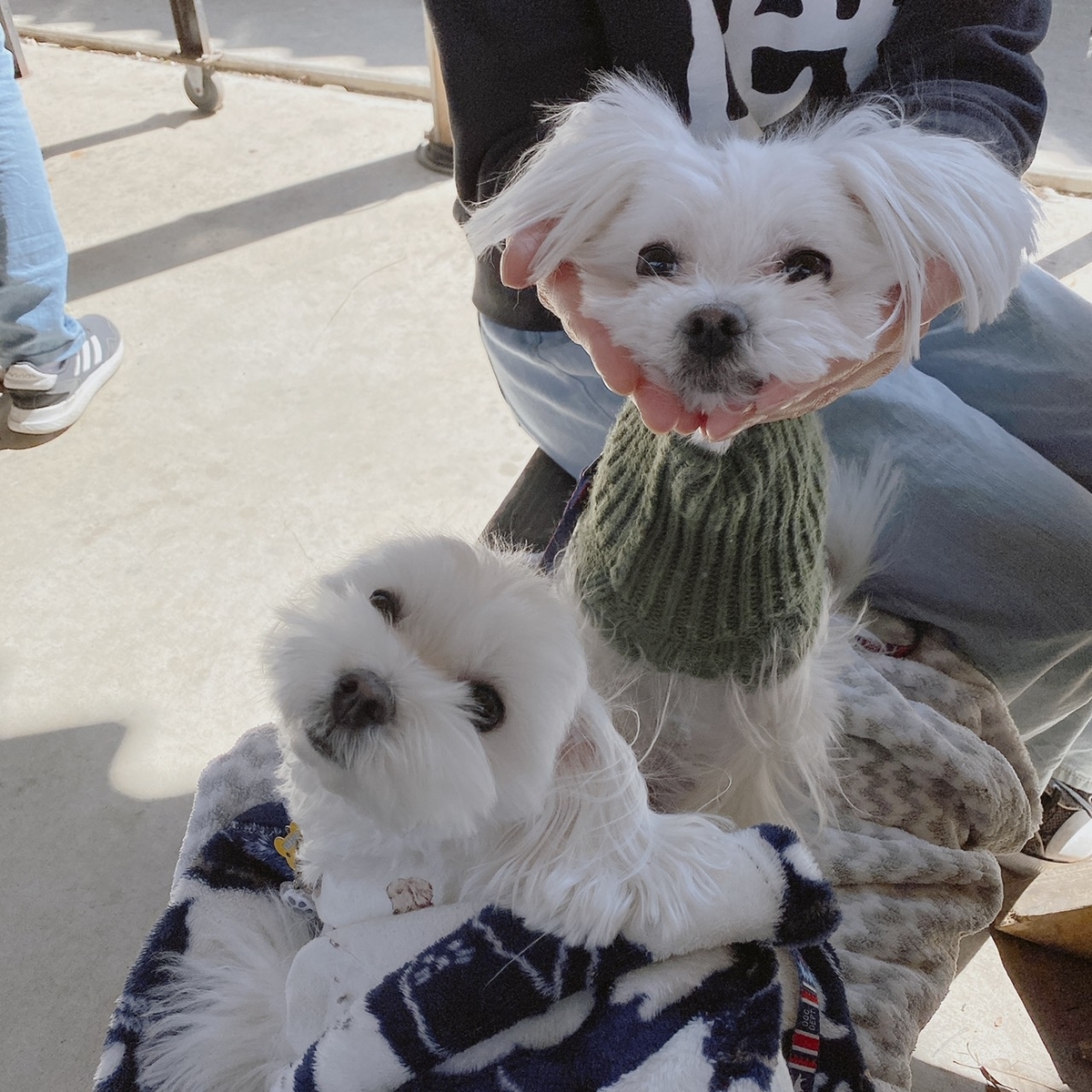 f:id:katsuma-pc:20200708185602j:plain