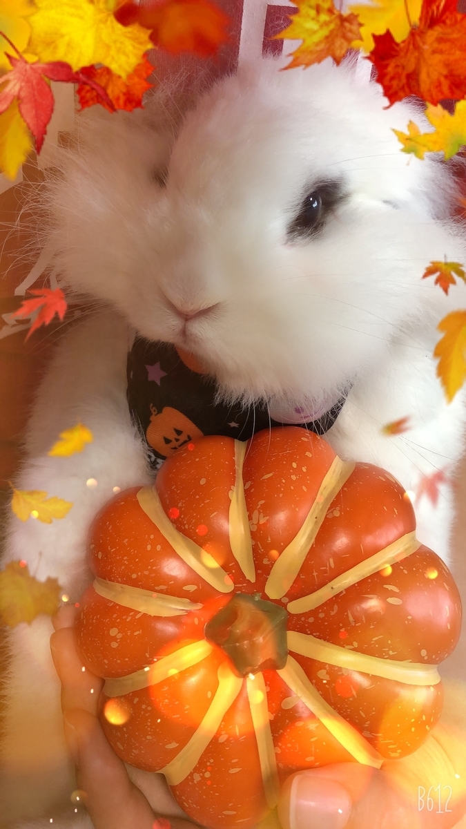 f:id:katsuma-pc:20201007093305j:plain