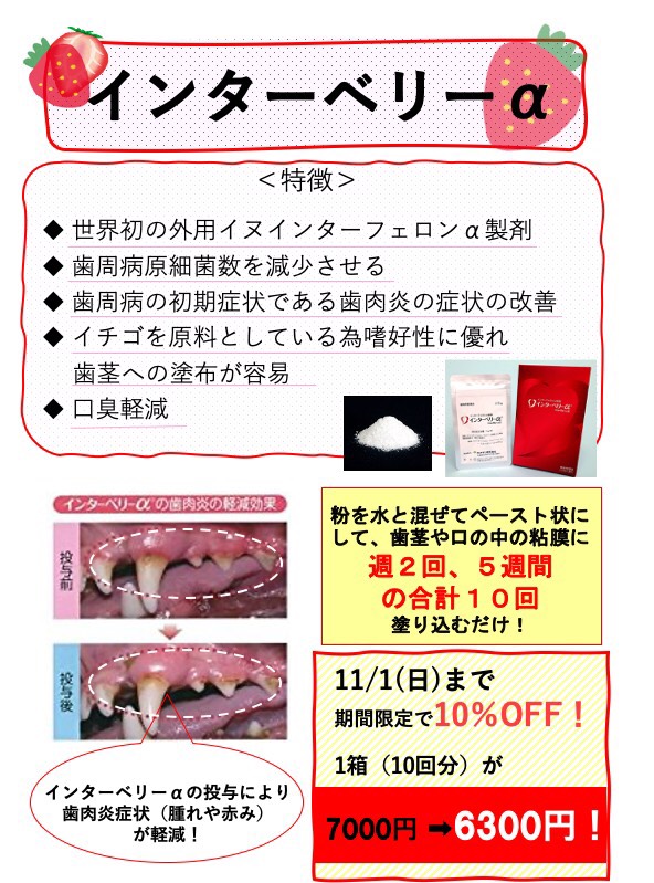 f:id:katsuma-pc:20201011172326j:plain f:id:katsuma-pc:20201011172326j:plain