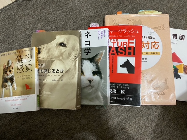 f:id:katsuma-pc:20201212135617j:plain