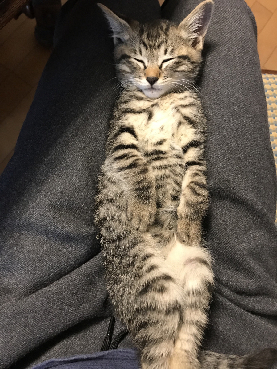 f:id:katsuma-pc:20210129135048j:plain