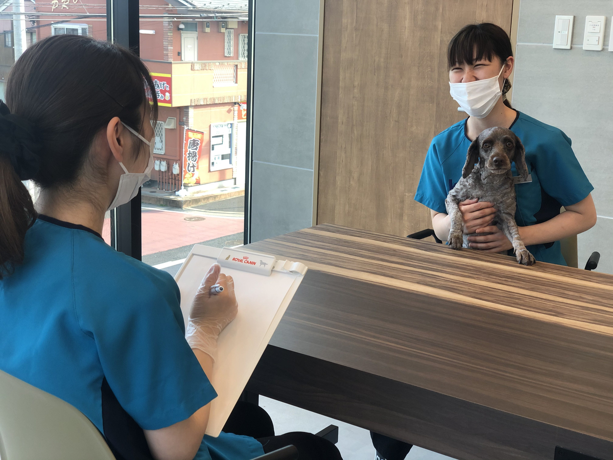 ムツゴロウとは 動植物の人気 最新記事を集めました はてな