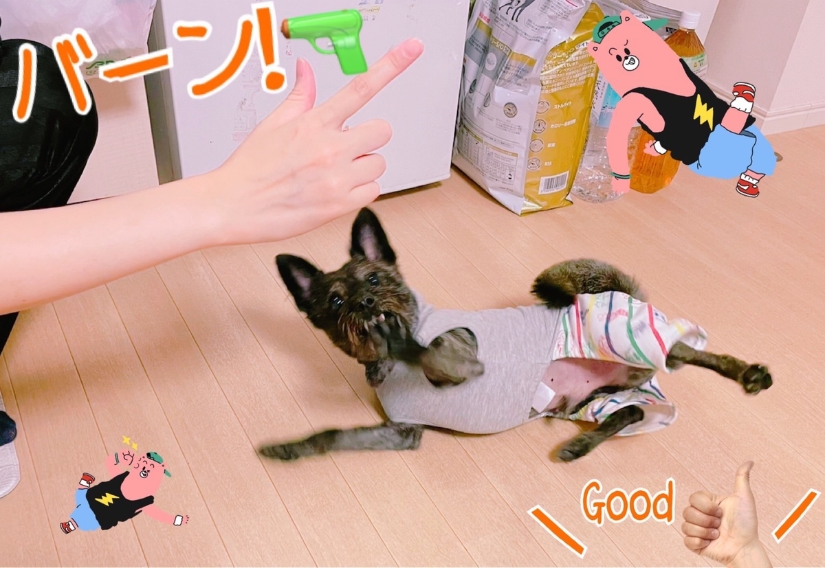 f:id:katsuma-pc:20211017174352j:plain