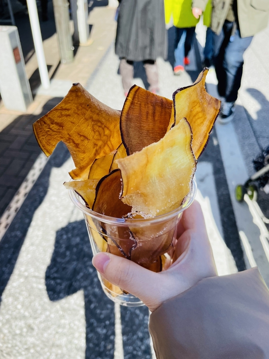 f:id:katsuma-pc:20220106095700j:plain