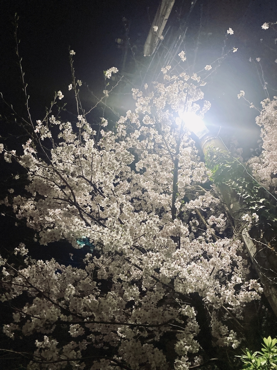 f:id:katsuma-pc:20220401095303j:plain