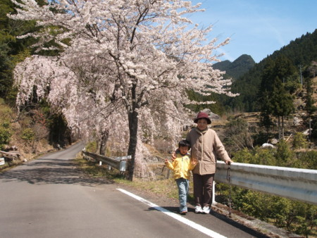 f:id:katsumaru_fish:20100330112450j:image