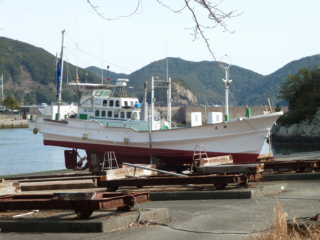 f:id:katsumaru_fish:20180131111147j:image