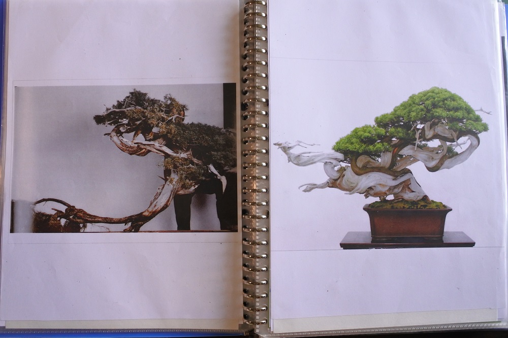 f:id:katsuo_24:20170829180926j:plain f:id:katsuo_24:20170829180926j:plain