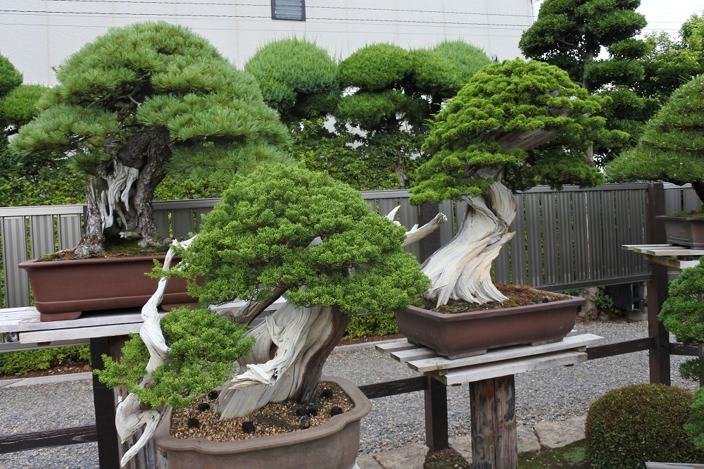 f:id:katsuo_24:20170829181346j:plain f:id:katsuo_24:20170829181346j:plain