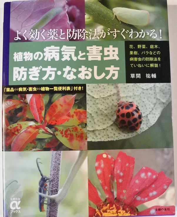 f:id:katsuo_24:20171029165734j:plain f:id:katsuo_24:20171029165734j:plain