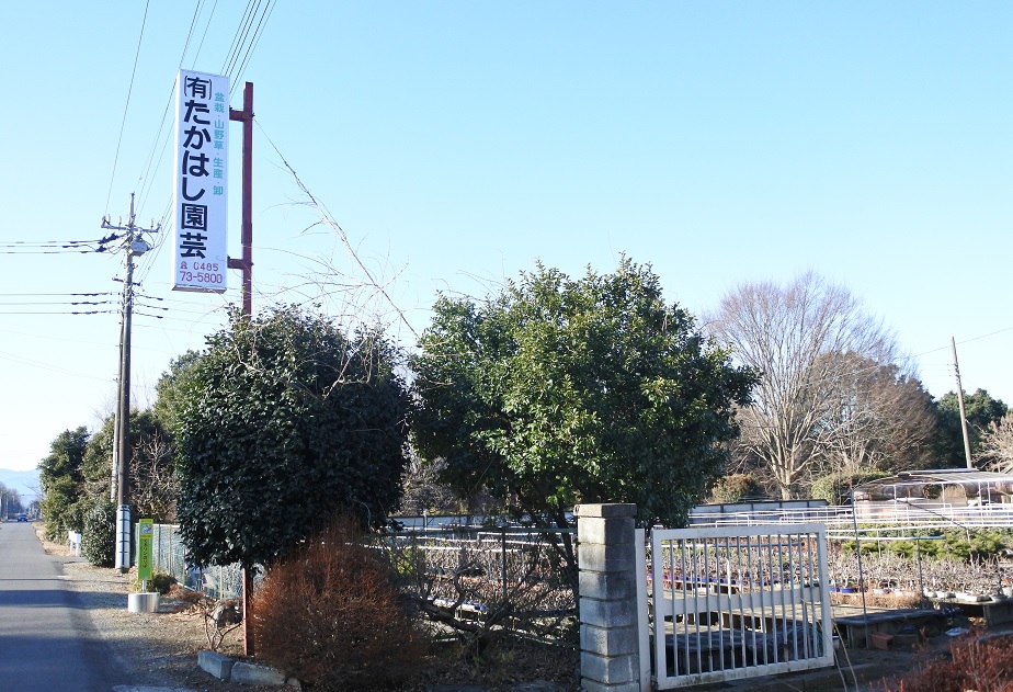 f:id:katsuo_24:20180103105002j:plain f:id:katsuo_24:20180103105002j:plain