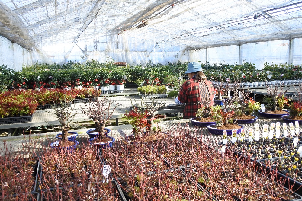 f:id:katsuo_24:20180103105155j:plain