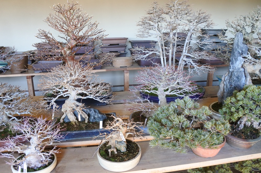 f:id:katsuo_24:20180103105428j:plain