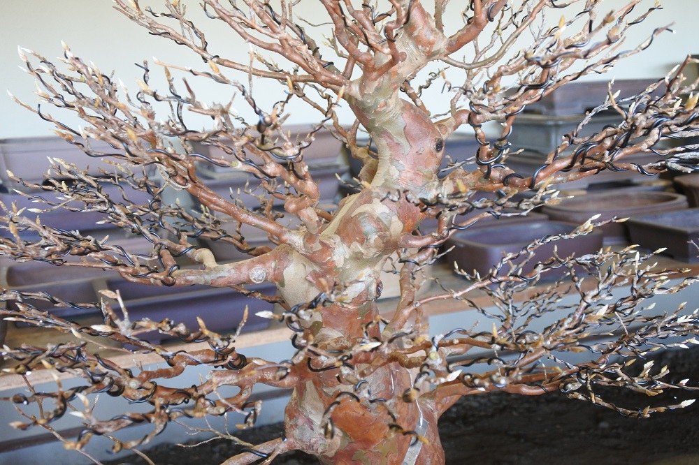 f:id:katsuo_24:20180103105537j:plain