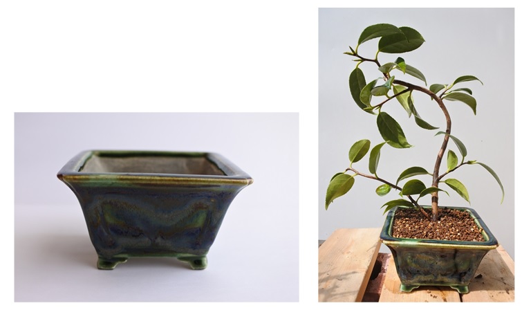 f:id:katsuo_24:20180325233003j:plain