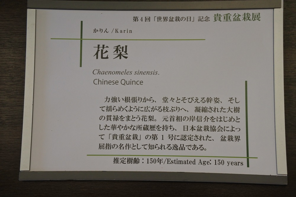 f:id:katsuo_24:20180621101146j:plain f:id:katsuo_24:20180621101146j:plain