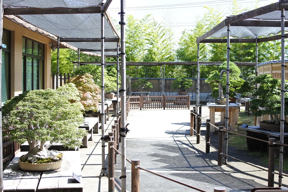 f:id:katsuo_24:20180716113655j:plain f:id:katsuo_24:20180716113655j:plain