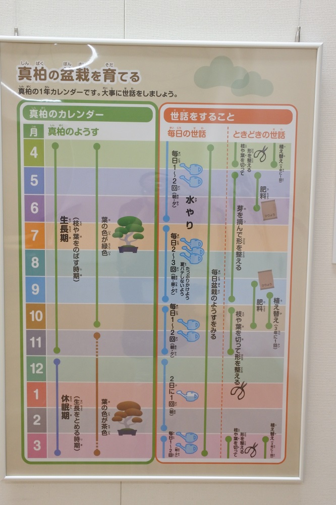 f:id:katsuo_24:20180805142011j:plain