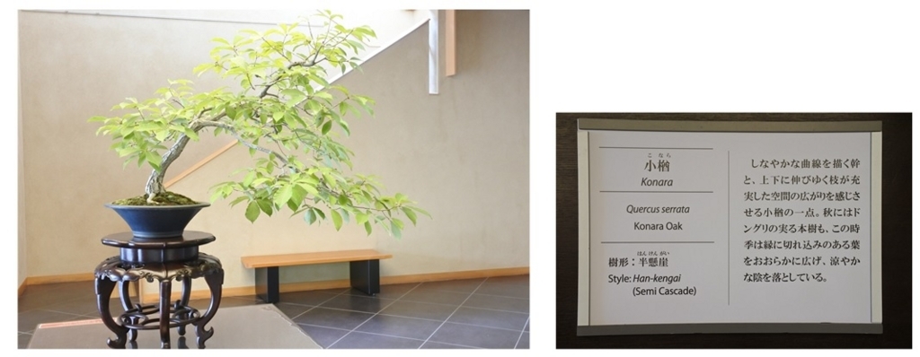 f:id:katsuo_24:20180805143501j:plain