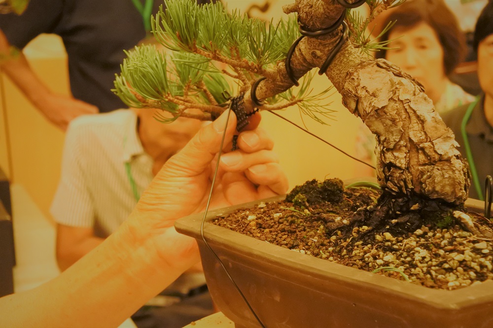 f:id:katsuo_24:20180924172142j:plain