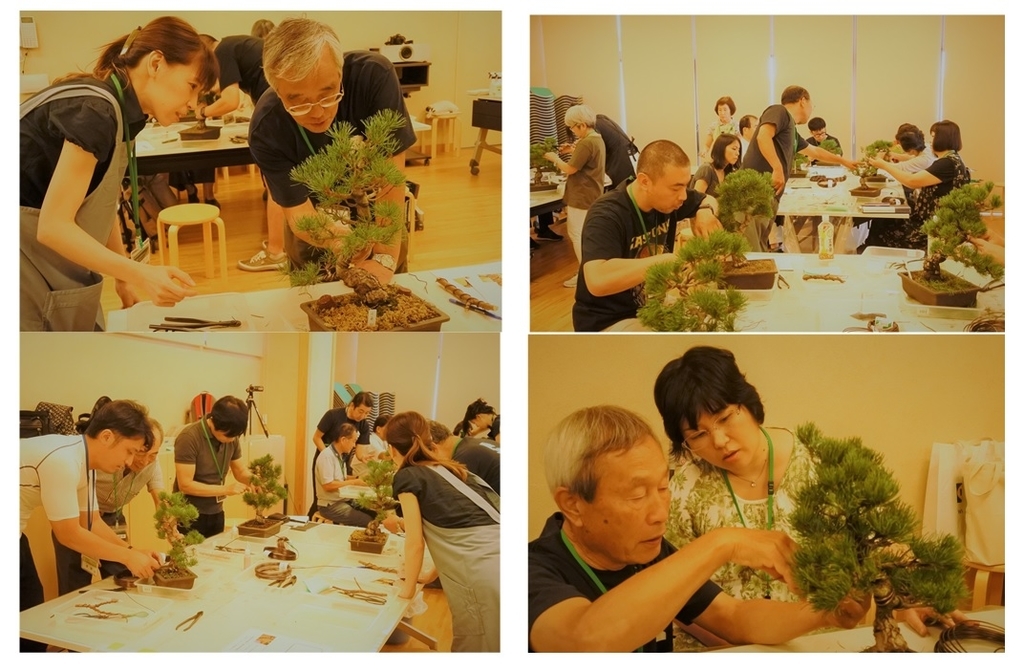 f:id:katsuo_24:20180924173350j:plain