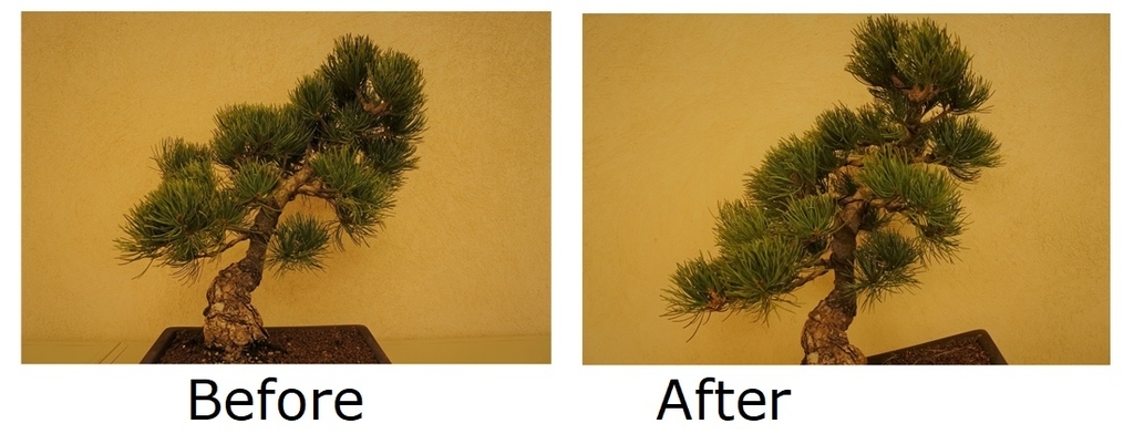 f:id:katsuo_24:20180924173556j:plain