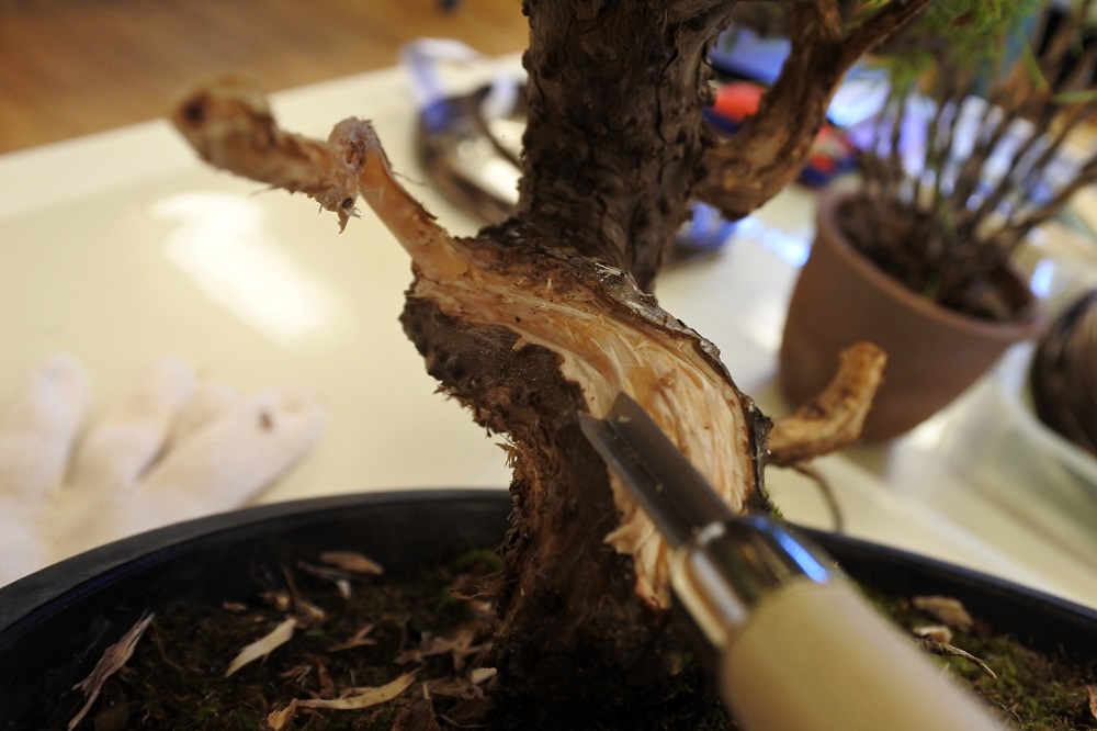 f:id:katsuo_24:20190105191841j:plain f:id:katsuo_24:20190105191841j:plain