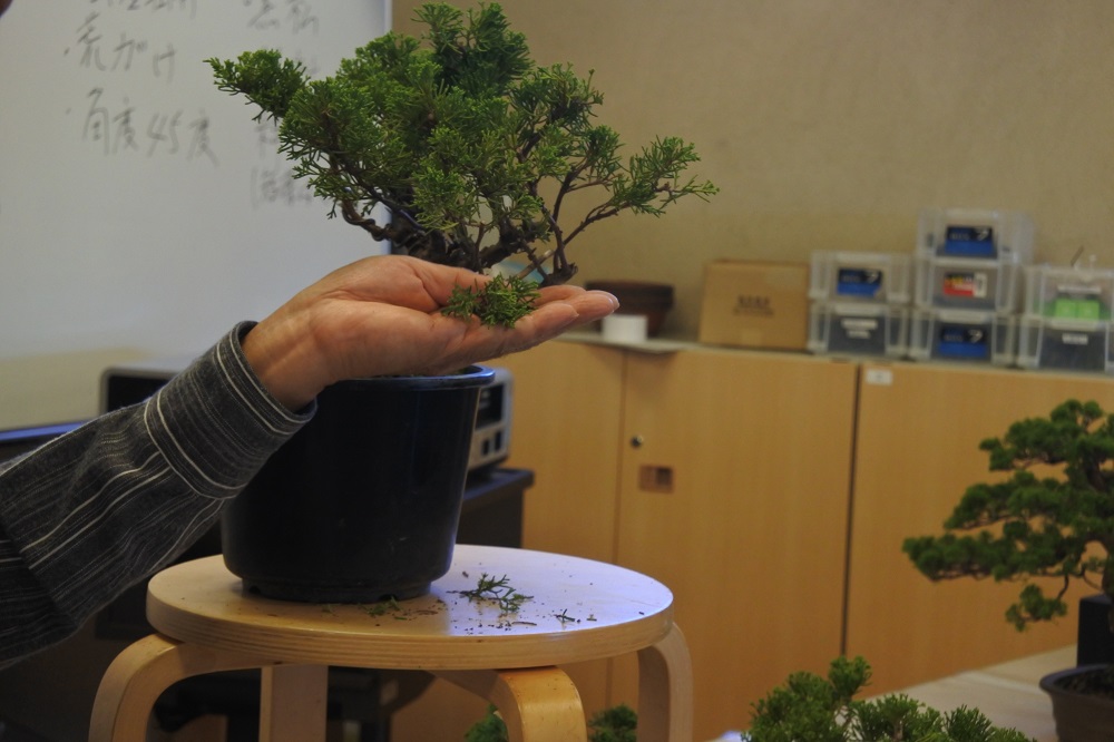 f:id:katsuo_24:20190105191956j:plain f:id:katsuo_24:20190105191956j:plain