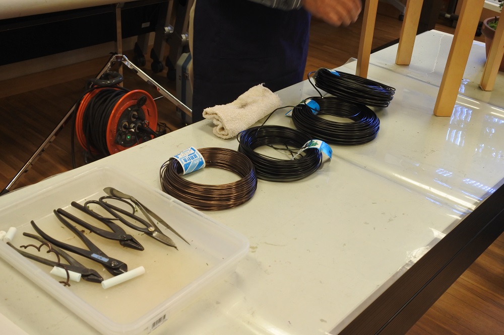 f:id:katsuo_24:20190105192423j:plain f:id:katsuo_24:20190105192423j:plain