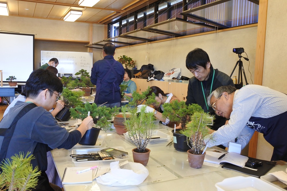 f:id:katsuo_24:20190105192618j:plain f:id:katsuo_24:20190105192618j:plain