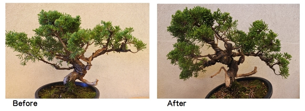 f:id:katsuo_24:20190105194038j:plain f:id:katsuo_24:20190105194038j:plain