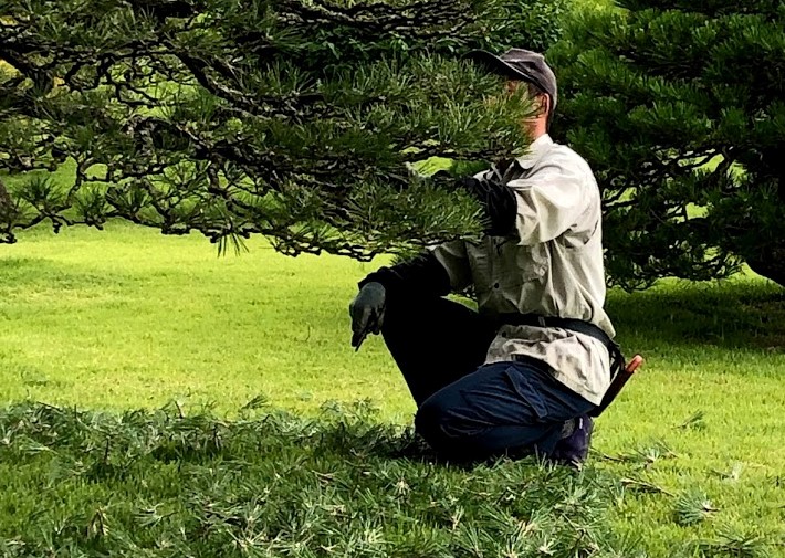 f:id:katsuo_24:20190612192037j:plain