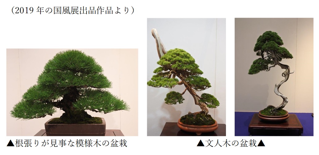 f:id:katsuo_24:20190623114519j:plain