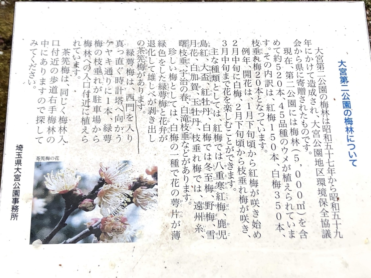 f:id:katsuo_24:20200301131000j:plain