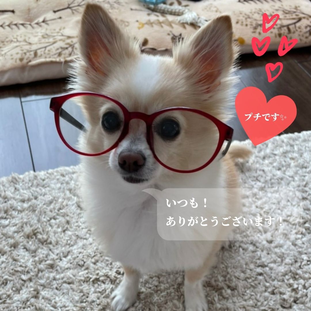 f:id:katsuodesukedo:20210924155226j:plain