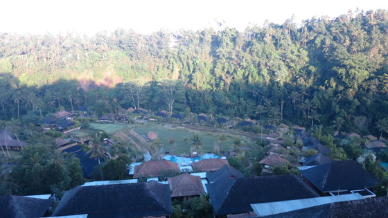 f:id:katsushika-miyah:20170729171444j:plain f:id:katsushika-miyah:20170729171444j:plain