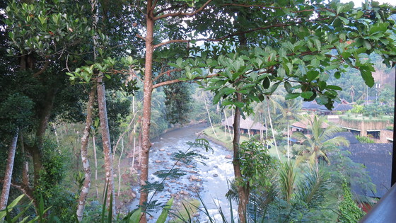 f:id:katsushika-miyah:20170729174416j:plain f:id:katsushika-miyah:20170729174416j:plain