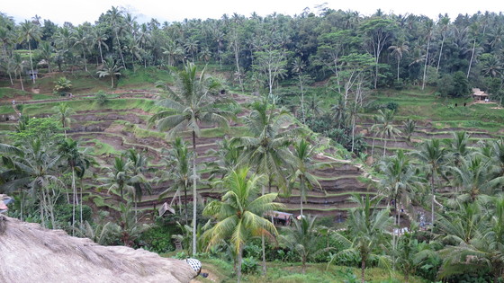 f:id:katsushika-miyah:20170729175737j:plain f:id:katsushika-miyah:20170729175737j:plain