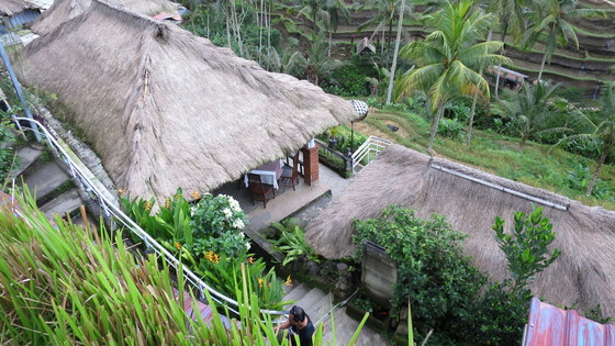 f:id:katsushika-miyah:20170729180218j:plain f:id:katsushika-miyah:20170729180218j:plain