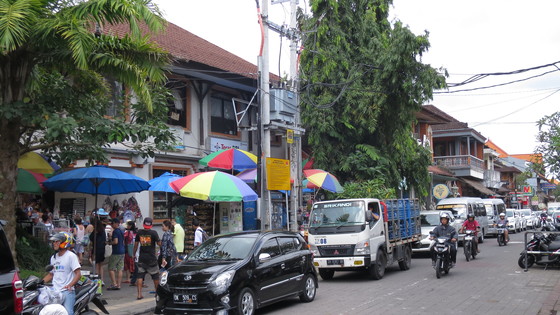 f:id:katsushika-miyah:20170729183002j:plain f:id:katsushika-miyah:20170729183002j:plain