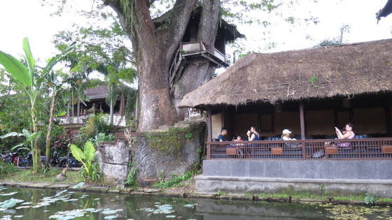 f:id:katsushika-miyah:20170729190038j:plain f:id:katsushika-miyah:20170729190038j:plain