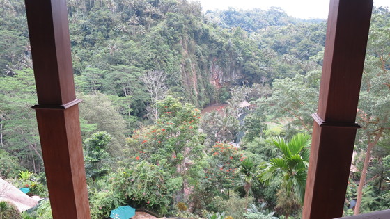 f:id:katsushika-miyah:20170729190846j:plain f:id:katsushika-miyah:20170729190846j:plain