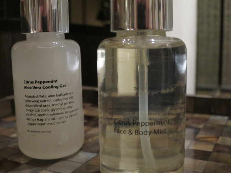 f:id:katsushika-miyah:20170730002557j:plain f:id:katsushika-miyah:20170730002557j:plain