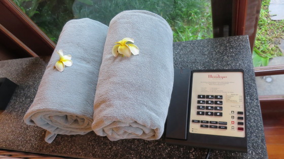 f:id:katsushika-miyah:20170730014016j:plain f:id:katsushika-miyah:20170730014016j:plain